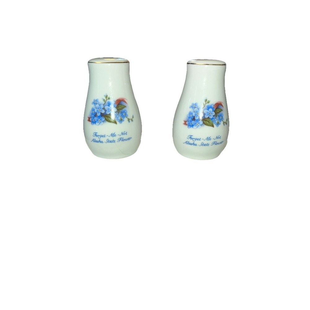 Forget-Me-Not Alaska State Flower Porcelain Set of Salt and Pepper Shakers